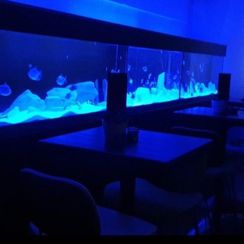The New Blue Horse Suite At The Grumpy Schnauzer B&B Luxury Private Indoor Hot Tub Breakfast In Bed Airdrie Buitenkant foto